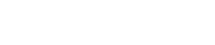 light logo