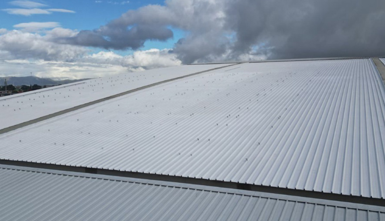 Volkswagen-Warehouse-preparation-and-treatment-of-roof-sheets-project-done-by-Khusela-Building-Consultants-003